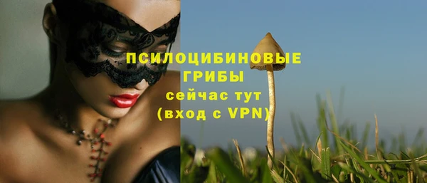 круглые Лагань